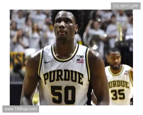 NBA中的女性力量：她们如何改变篮球世界